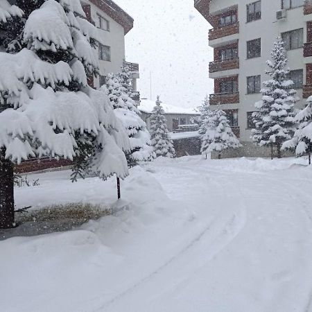 Studio Detelina Residence Bansko Exterior foto