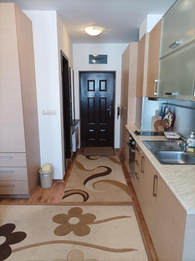 Studio Detelina Residence Bansko Exterior foto