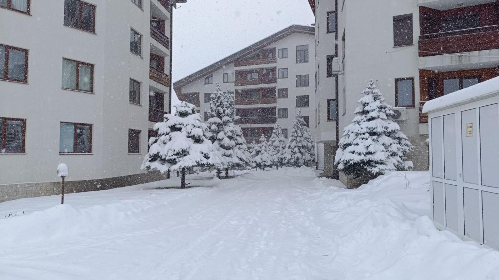 Studio Detelina Residence Bansko Exterior foto