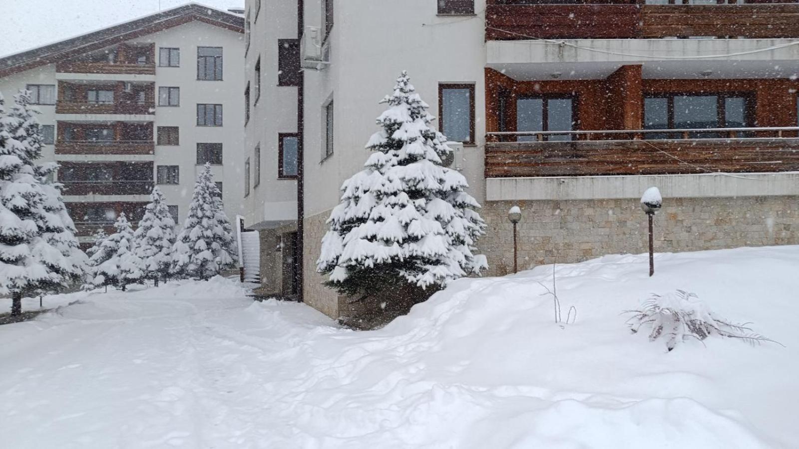 Studio Detelina Residence Bansko Exterior foto