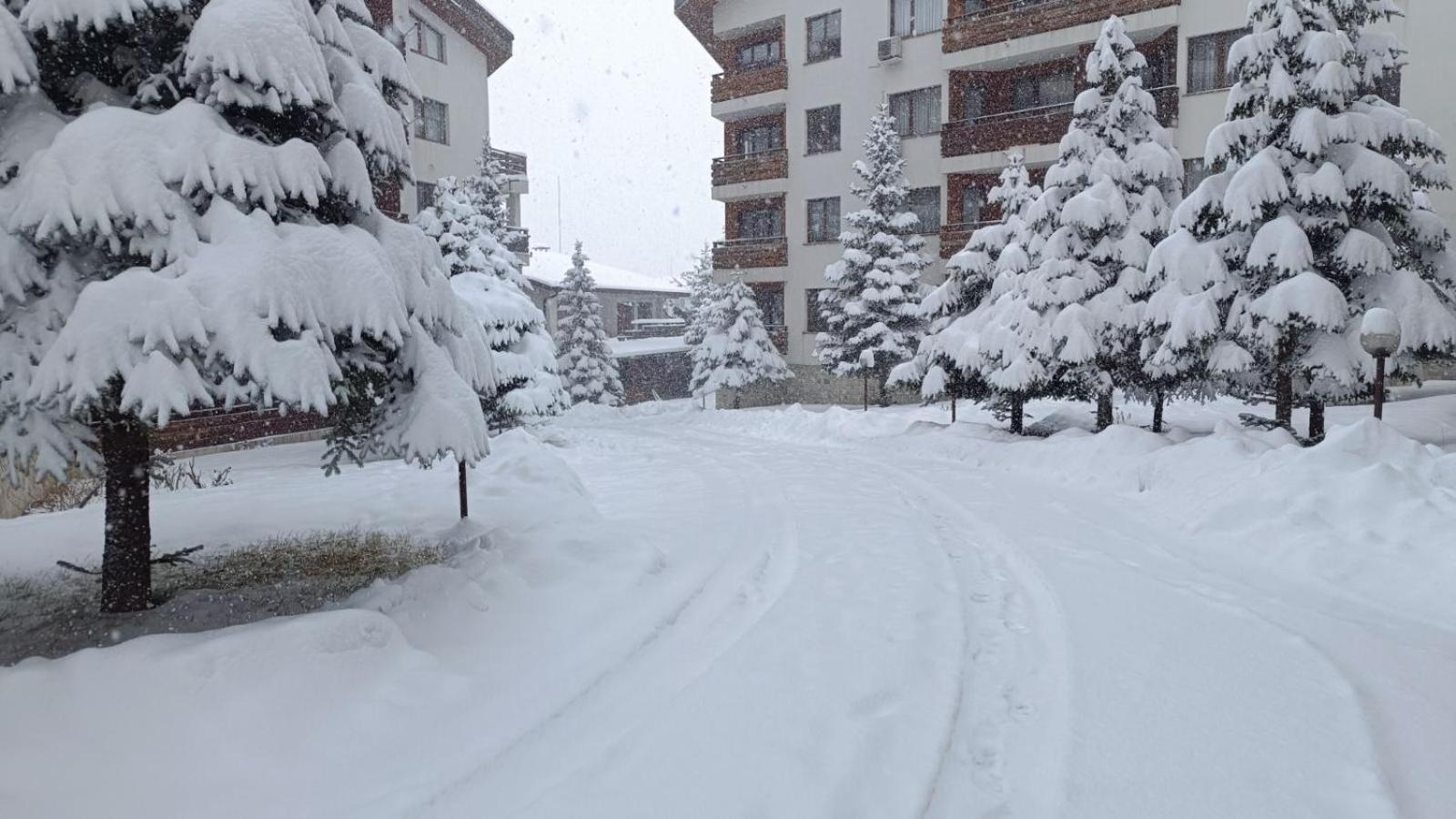 Studio Detelina Residence Bansko Exterior foto
