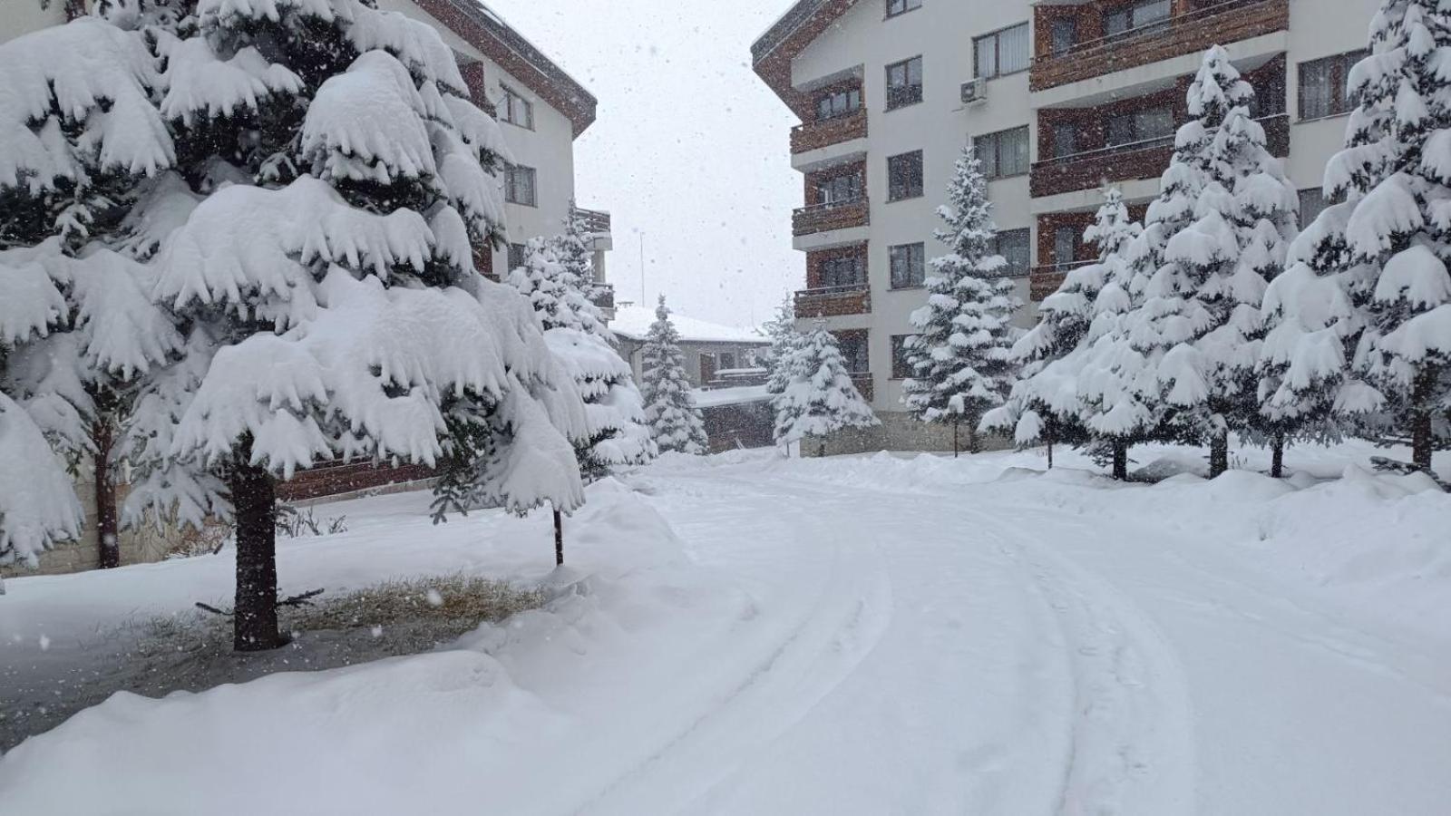 Studio Detelina Residence Bansko Exterior foto