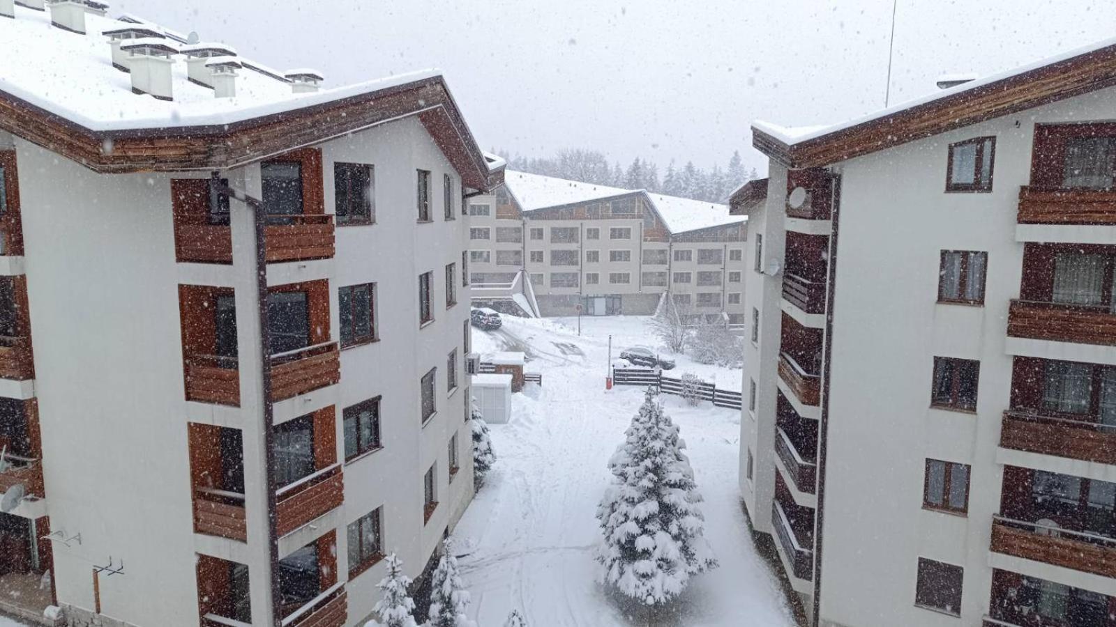 Studio Detelina Residence Bansko Exterior foto